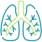 pleural